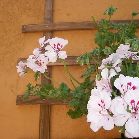 La Terrazza Del Borgo Couette-café Agrigente
