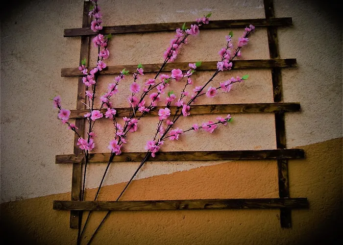 Bed & Breakfast La Terrazza Del Borgo