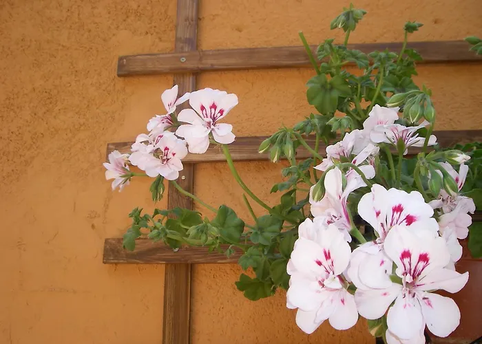 La Terrazza Del Borgo Bed & Breakfast Agrigento