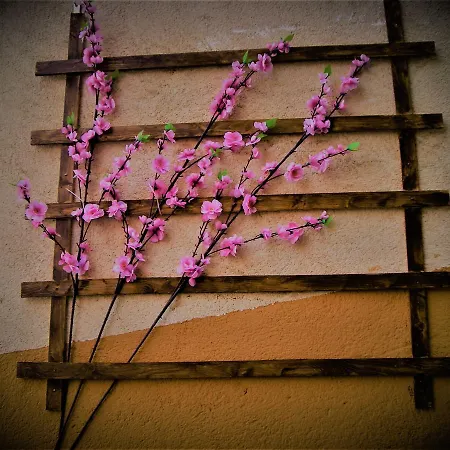 Bed and breakfast La Terrazza Del Borgo